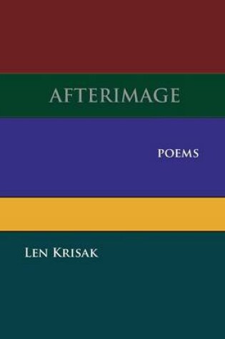 Cover of Afterimage