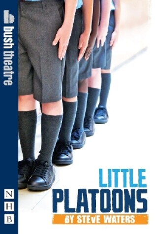 Cover of Little Platoons