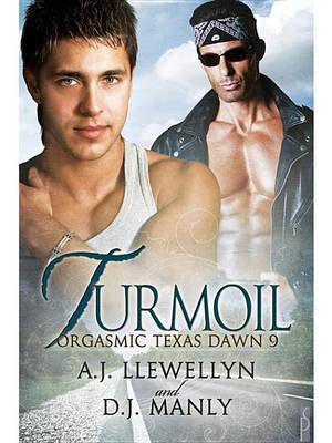 Cover of Turmoil