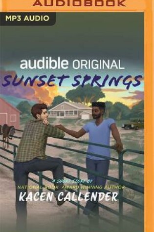 Cover of Sunset Springs