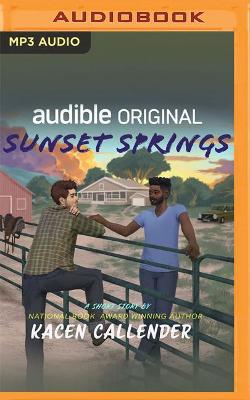 Book cover for Sunset Springs