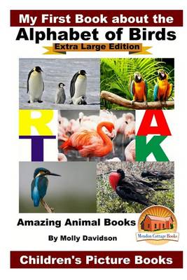 Book cover for My First Book about the Alphabet of Birds - Extra Large Edition - Amazing Animal Books - Children's Picture Books