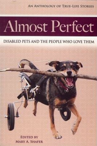 Cover of Almost Perfect