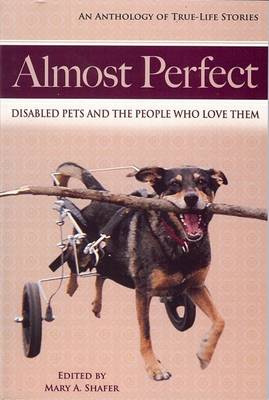 Book cover for Almost Perfect