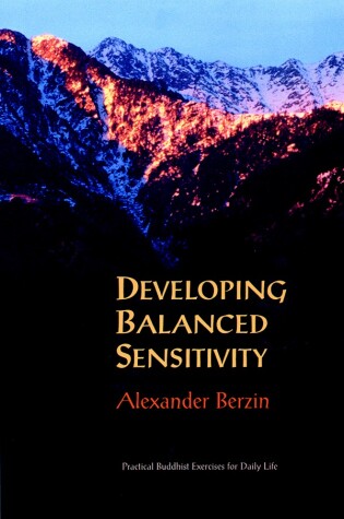 Cover of Developing Balanced Sensitivity