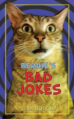 Book cover for Bernie's Bad Jokes