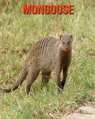 Book cover for Mongoose