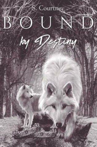 Cover of Bound by Destiny