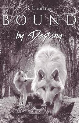 Book cover for Bound by Destiny