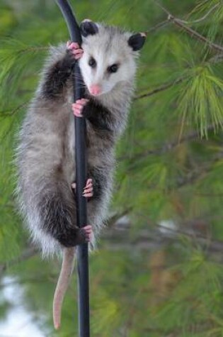 Cover of Possum on a Pole Journal