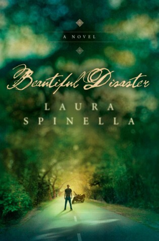 Cover of Beautiful Disaster
