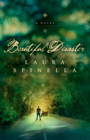 Book cover for Beautiful Disaster