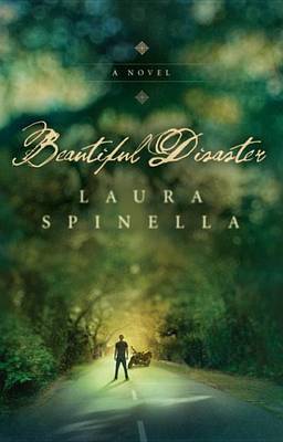 Book cover for Beautiful Disaster