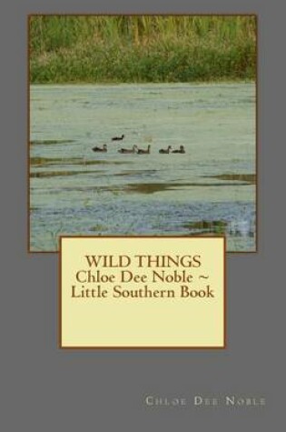 Cover of WILD THINGS Chloe Dee Noble Little Southern Book