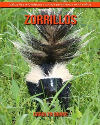 Book cover for Zorrillos