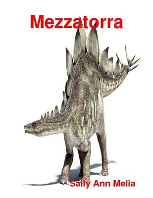Book cover for Mezzatorra