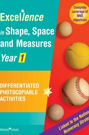 Cover of Excellence in Shape, Space, Measures