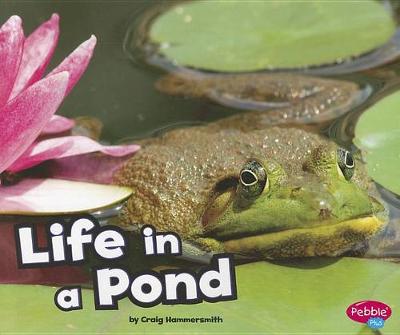 Book cover for Life in the Pond