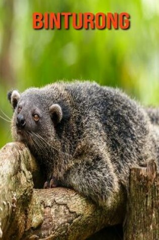 Cover of Binturong