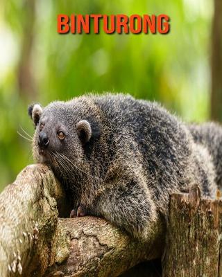 Book cover for Binturong