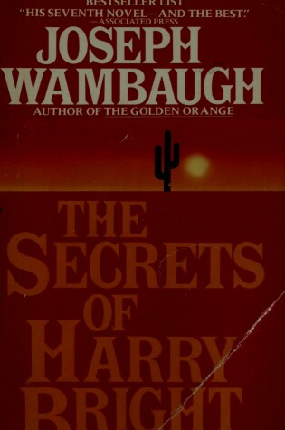 Cover of The Secrets of Harry Bright