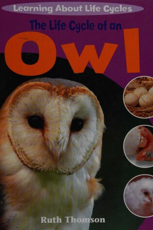 Cover of The Life Cycle of an Owl