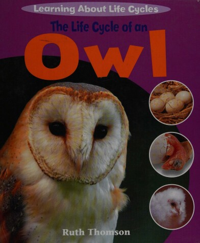 Book cover for The Life Cycle of an Owl