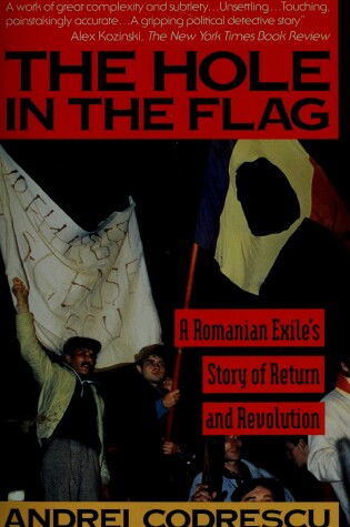 Cover of Hole in the Flag
