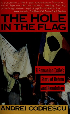 Book cover for Hole in the Flag