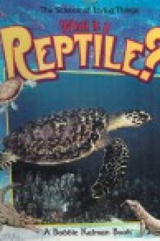 Cover of What Is a Reptile?