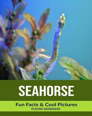 Book cover for SeaHorse