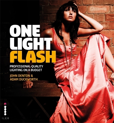 Book cover for One Light Flash