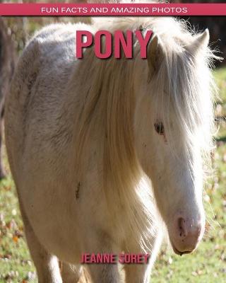 Book cover for Pony