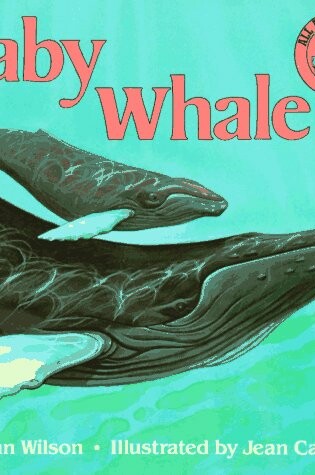 Cover of Baby Whale
