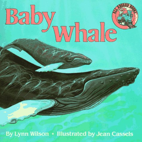 Book cover for Baby Whale