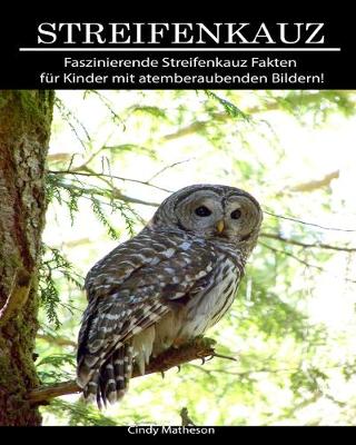 Book cover for Streifenkauz