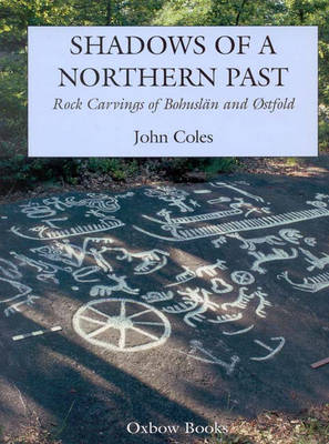 Book cover for Shadows of a Northern Past