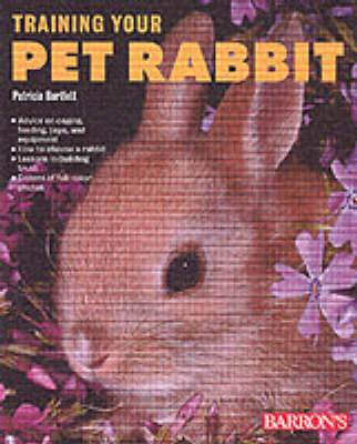 Book cover for Training Your Pet Rabbit