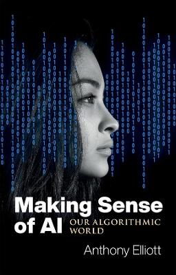 Book cover for Making Sense of AI