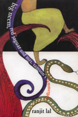 Cover of Big Neem, Red Jaguar and Mrs Samson's Lammergeier