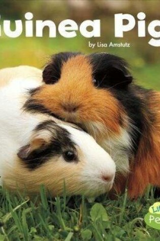 Cover of Guinea Pigs (Our Pets)