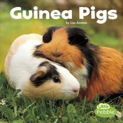 Book cover for Our Pets Guinea Pigs