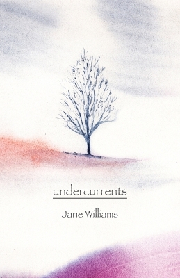 Book cover for undercurrents