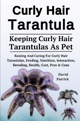 Book cover for Curly Hair Tarantula