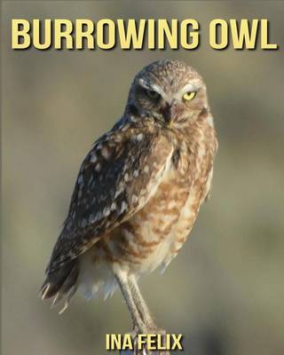 Book cover for Burrowing Owl