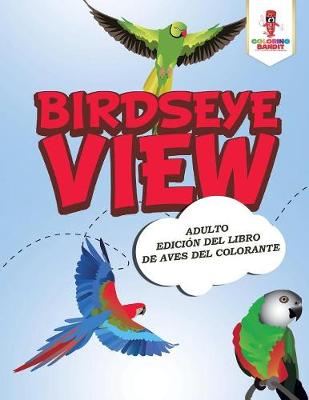 Book cover for Birdseye View