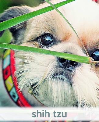 Cover of Shih Tzu