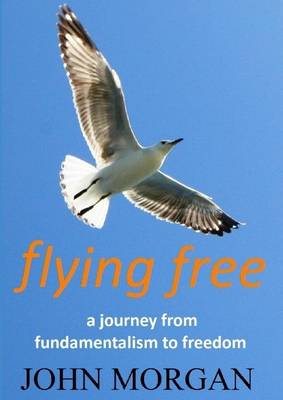 Book cover for Flying Free: A Journey from Fundamentalism to Freedom