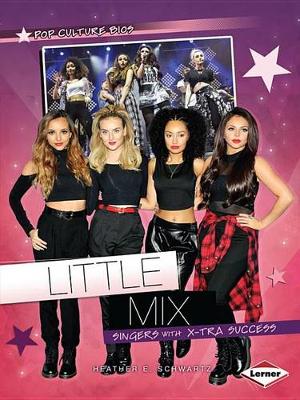 Book cover for Little Mix