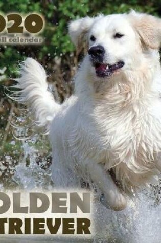 Cover of Golden Retriever 2020 Mini Wall Calendar